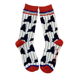 New York Shapes with Pinstripe Women's Socks